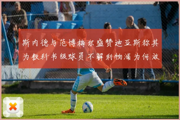 斯内德与范博梅尔盛赞迪亚斯称其为教科书级球员不解利物浦为何放弃他